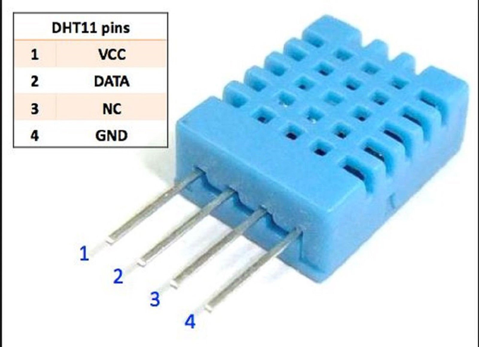 57-1031.jpg